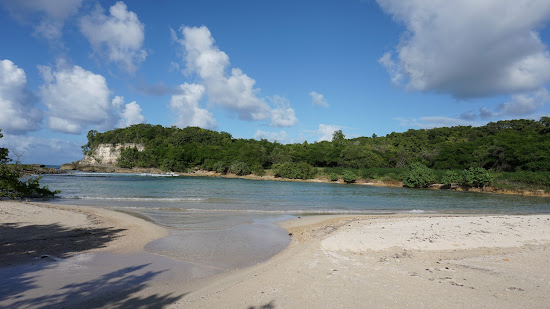 Anse Colas