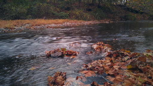 Vineyard «Torne Valley Vineyard», reviews and photos, 1 Torne Valley Rd, Hillburn, NY 10931, USA