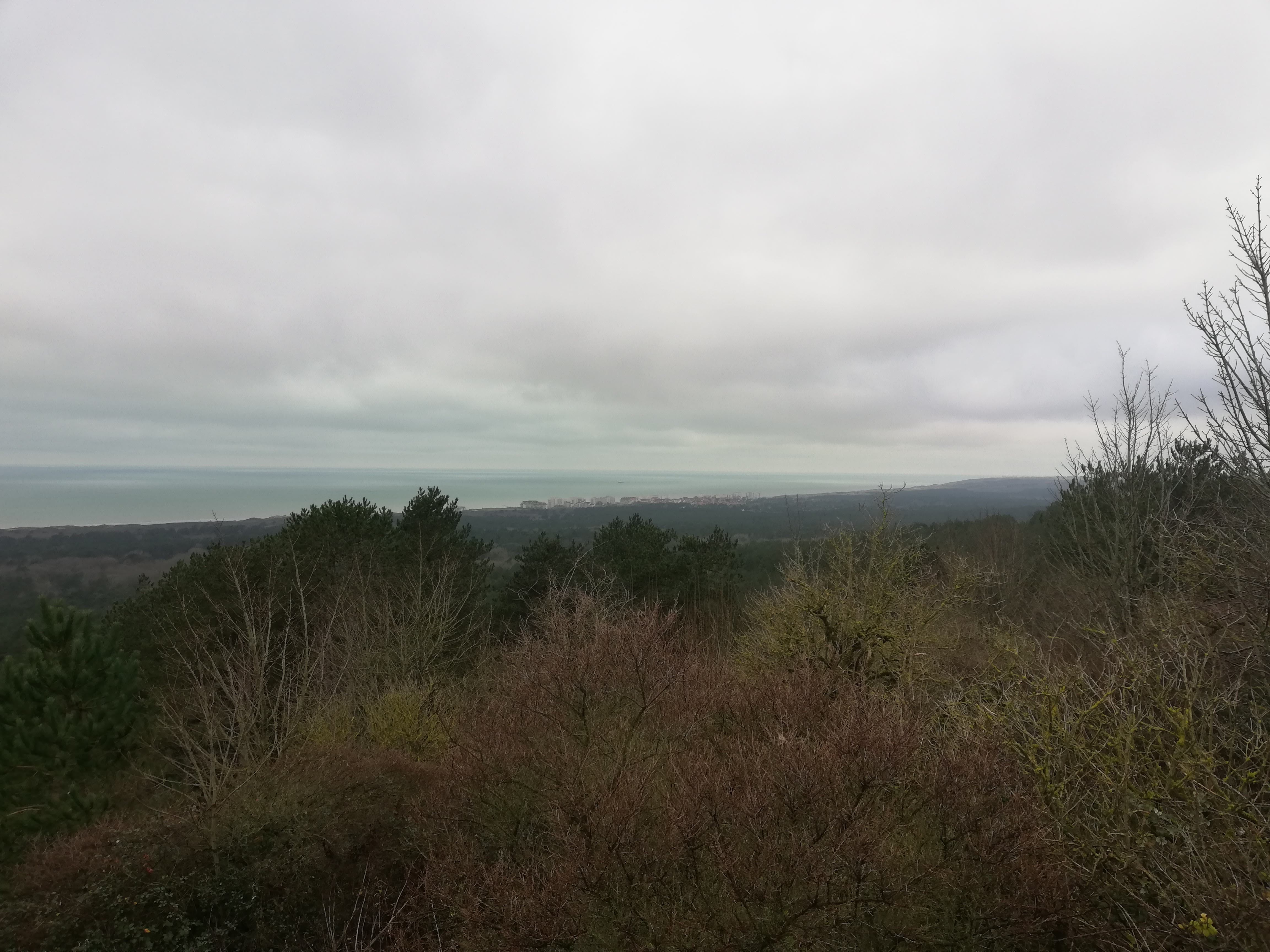 Photo n° 4 de l'avis de Vince.e fait le 12/01/2021 à 11:33