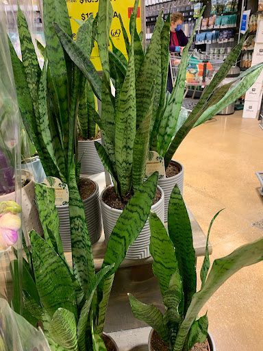 Grocery Store «Whole Foods Market», reviews and photos, 940 NJ-73, Marlton, NJ 08053, USA