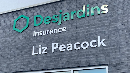 Liz Peacock Desjardins Insurance Agent