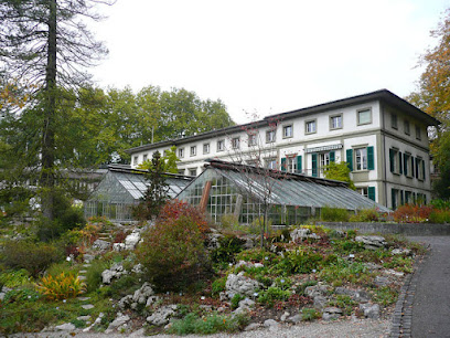 Botanischer Garten der Universität Bern