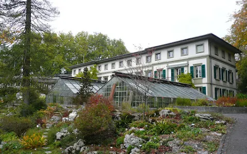 Universität Bern Botanical Garden image