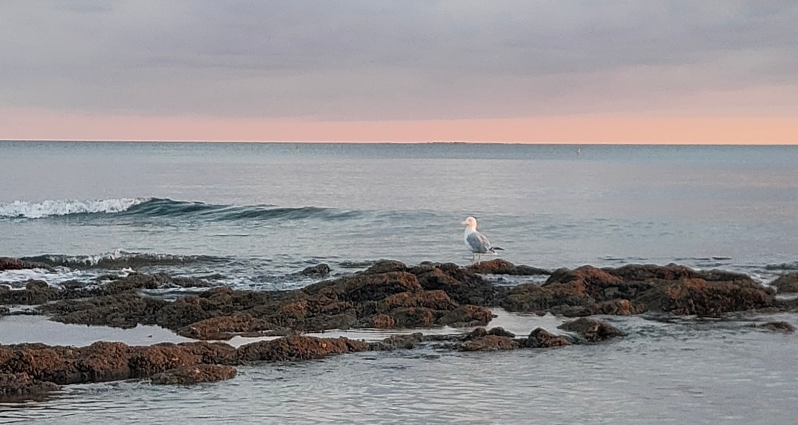 Photo n° 2 de l'avis de Greg.e fait le 15/10/2023 à 19:49