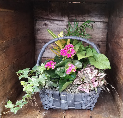 Florist «Flowerama of Springfield», reviews and photos, 659 W Sunshine St, Springfield, MO 65807, USA