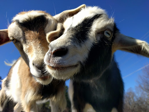 4316 Canton Hwy, Cumming, GA 30040, USA