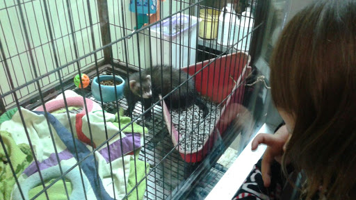 Pet Store «Southside Pet Shop», reviews and photos, 7031 Southside Dr, Louisville, KY 40214, USA