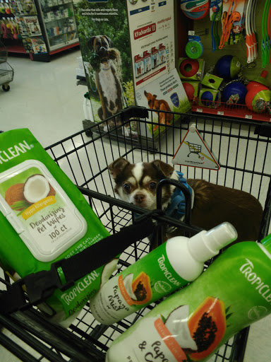 Pet Supply Store «Petco Animal Supplies», reviews and photos, 1009 E Commercial Blvd, Oakland Park, FL 33334, USA