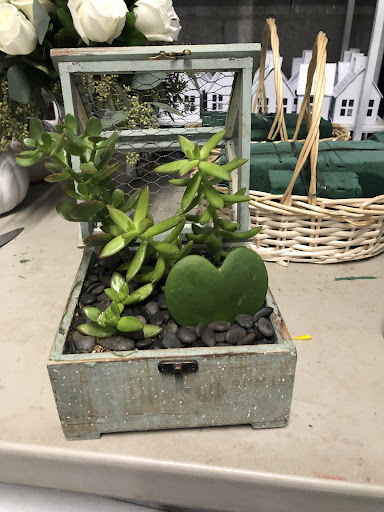 Florist «Hobby Hill Florist Inc», reviews and photos, 541 N Ridgewood Dr, Sebring, FL 33870, USA