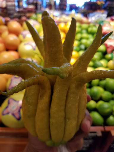 Grocery Store «The Fresh Market», reviews and photos, 3722 Henderson Blvd, Tampa, FL 33609, USA