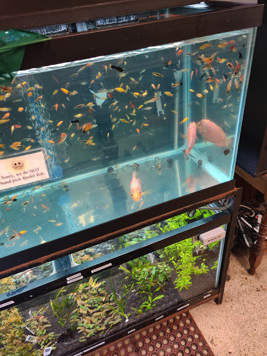 Pet Supply Store «Pet Bazaar», reviews and photos, 490 FL-436, Casselberry, FL 32707, USA