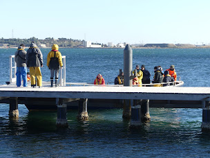 Photo n°8 de Jetée de Balaruc-Les bains. Port central. à Balaruc-les-Bains ()