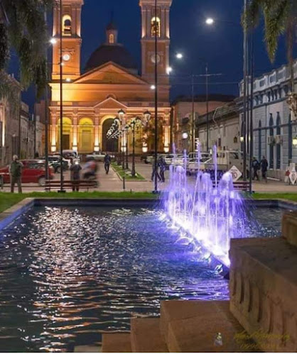 Opiniones de Catedral de la Inmaculada Concepción de Minas en Lavalleja - Arquitecto