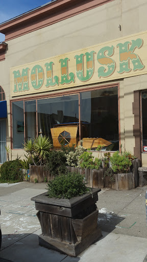 Surf Shop «Mollusk Surf Shop», reviews and photos, 4500 Irving St, San Francisco, CA 94122, USA