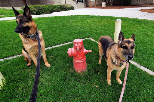 Park «University Community Park», reviews and photos, 1 Beech Tree Ln, Irvine, CA 92612, USA