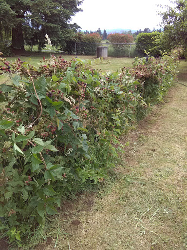 Golf Course «Hartwood Golf Course», reviews and photos, 12506 NE 152nd Ave, Brush Prairie, WA 98606, USA