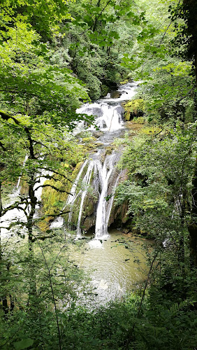 Vitte Dominique à Saint-Gorgon-Main