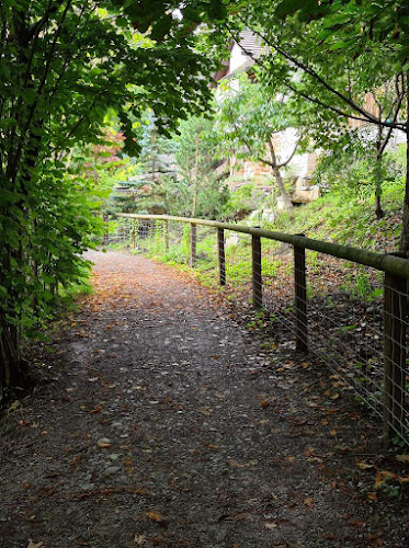 Rezensionen über Amriswil, Säntisstrasse in Amriswil - Andere