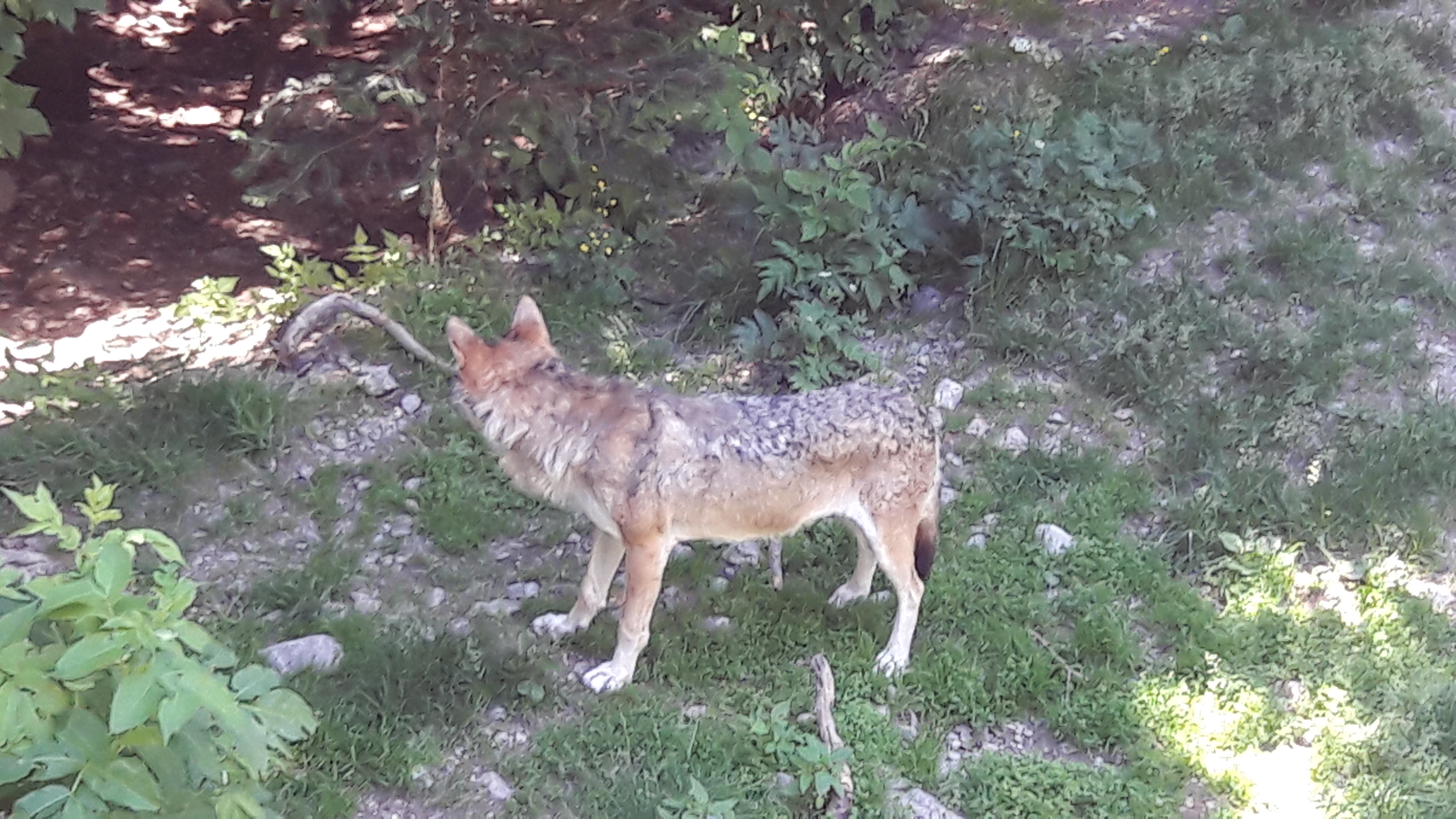 Photo n° 4 de l'avis de Ambre.h fait le 05/03/2017 à 01:43