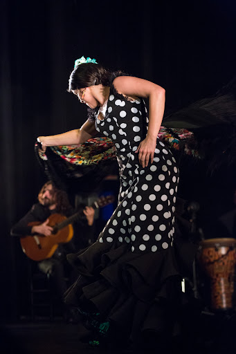 Imagen del negocio Institut Flamenco en Barcelona, Barcelona