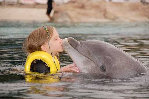 Water Park «Discovery Cove», reviews and photos, 6000 Discovery Cove Way, Orlando, FL 32821, USA