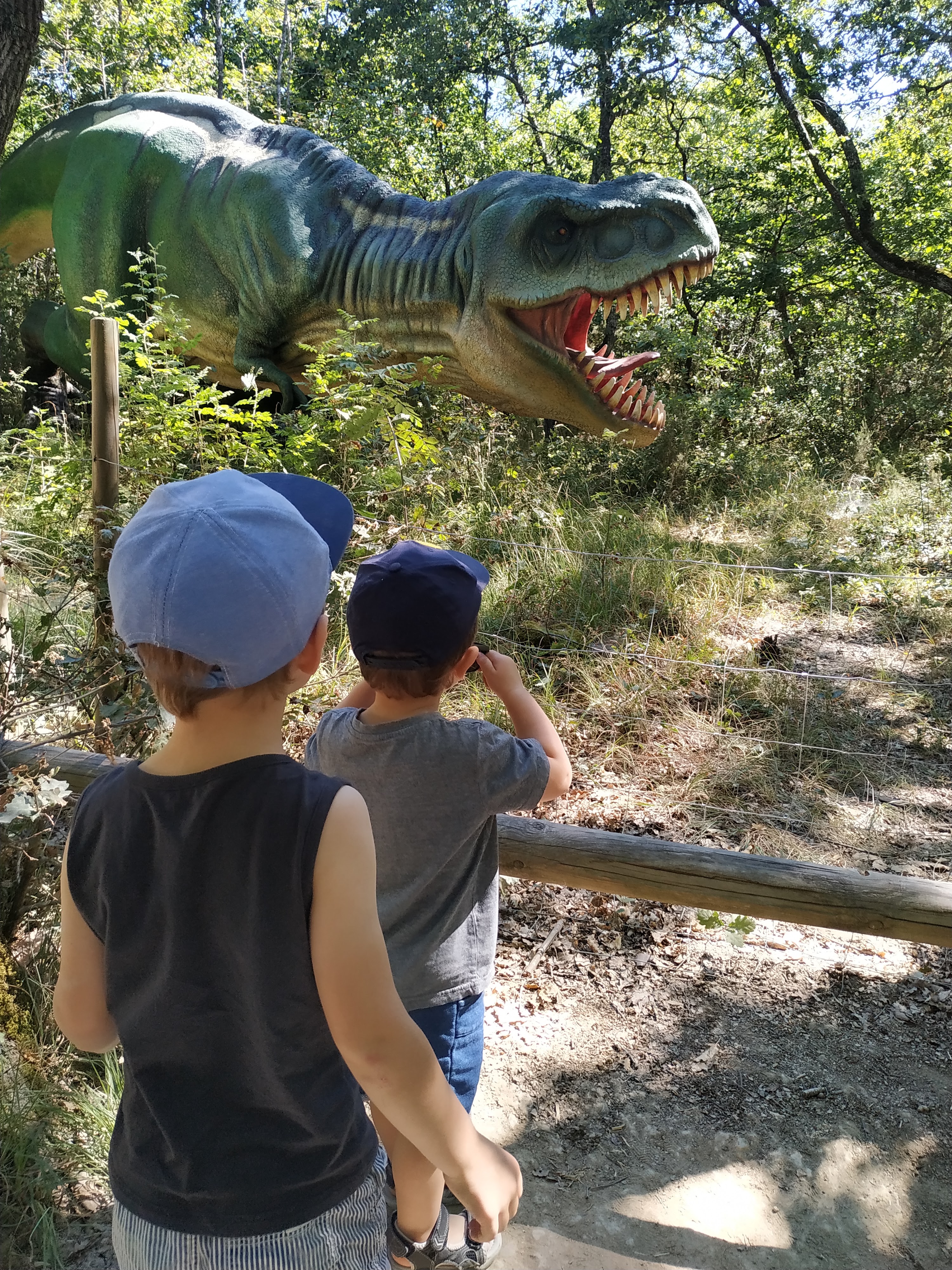 Photo n° 1 de l'avis de Noémie.a fait le 05/08/2020 à 14:49