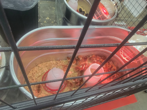 Home Improvement Store «Tractor Supply Co.», reviews and photos, 921 River Rd, Charlottesville, VA 22901, USA