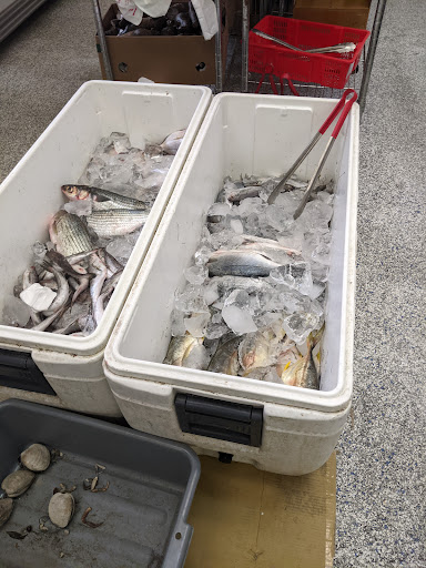 Asian Grocery Store «Saigon Market», reviews and photos, 308 Belmont Ave, Springfield, MA 01108, USA