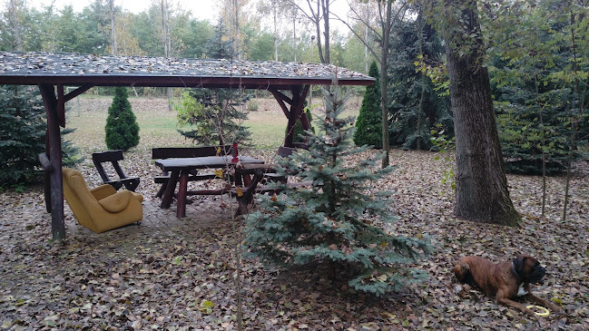 Értékelések erről a helyről: Kalmár Pihenő Park, Kecskemét - Parkoló