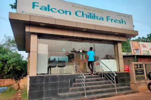Falcon Chilika Fresh image
