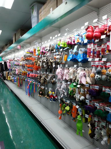 Pet Store «Petland Fairfax», reviews and photos, 9404 Main Street, Fairfax, VA 22031, USA