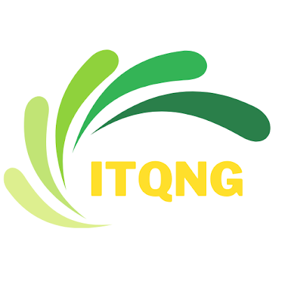 Công ty TNHH Công nghệ thông tin và truyền thông ITQNg