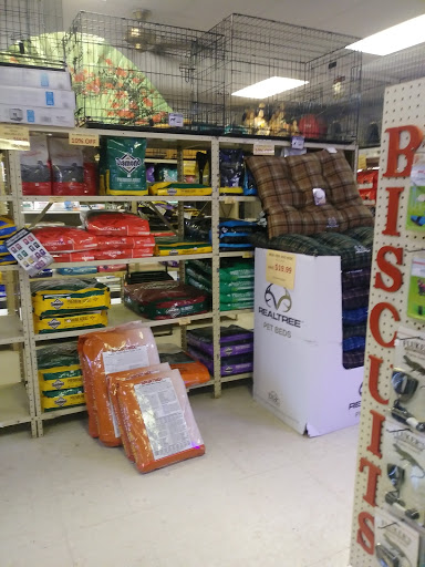 Pet Store «Forever Pets Inc», reviews and photos, 1030 Basse Rd, San Antonio, TX 78212, USA