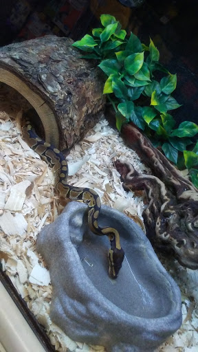 Pet Supply Store «PetSmart», reviews and photos, 400 Mill Creek Dr, Secaucus, NJ 07094, USA