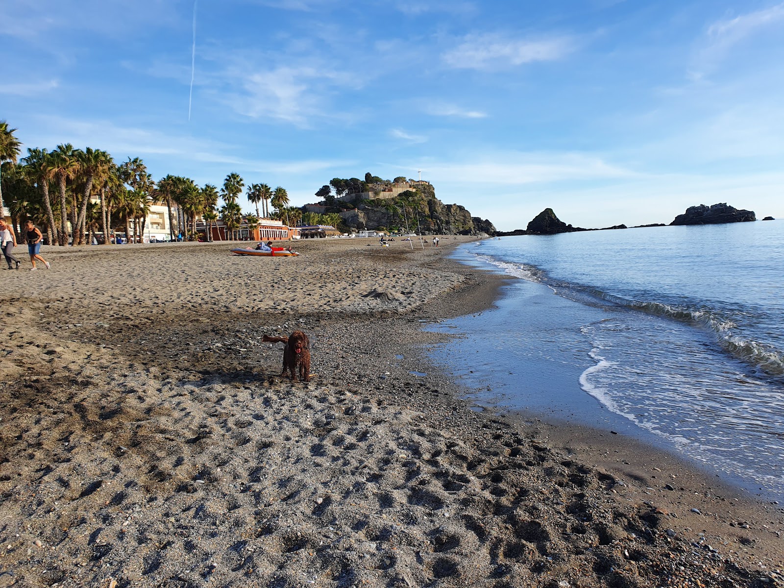 Photo de Almunecar beach - endroit populaire parmi les connaisseurs de la détente