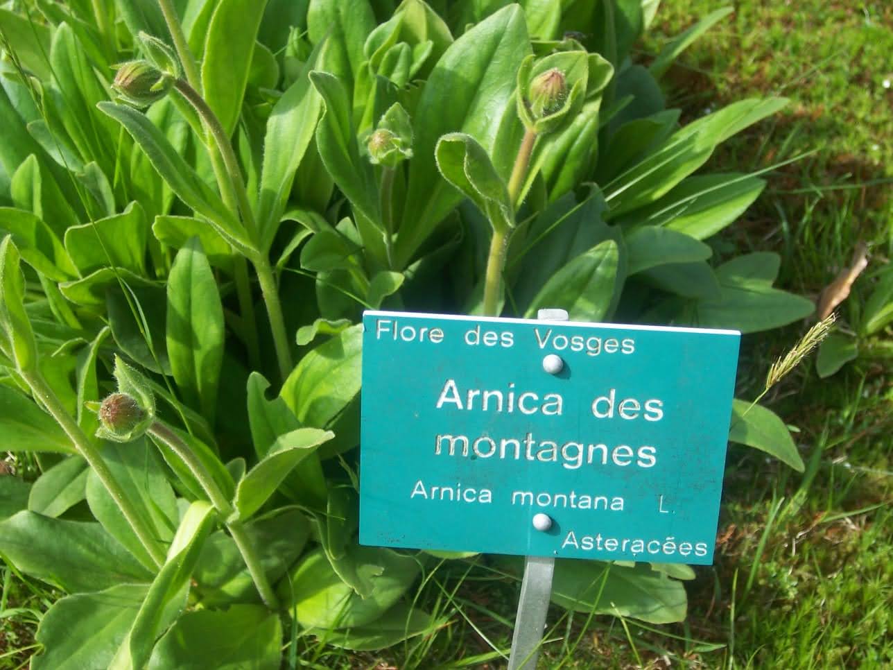 Photo n° 3 de l'avis de Christiane.e fait le 15/06/2021 à 17:16