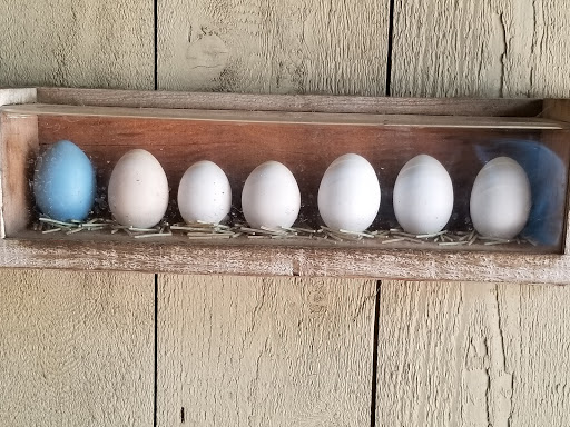 Zoo «Dallas Zoological Society», reviews and photos, 650 S R L Thornton Fwy, Dallas, TX 75203, USA