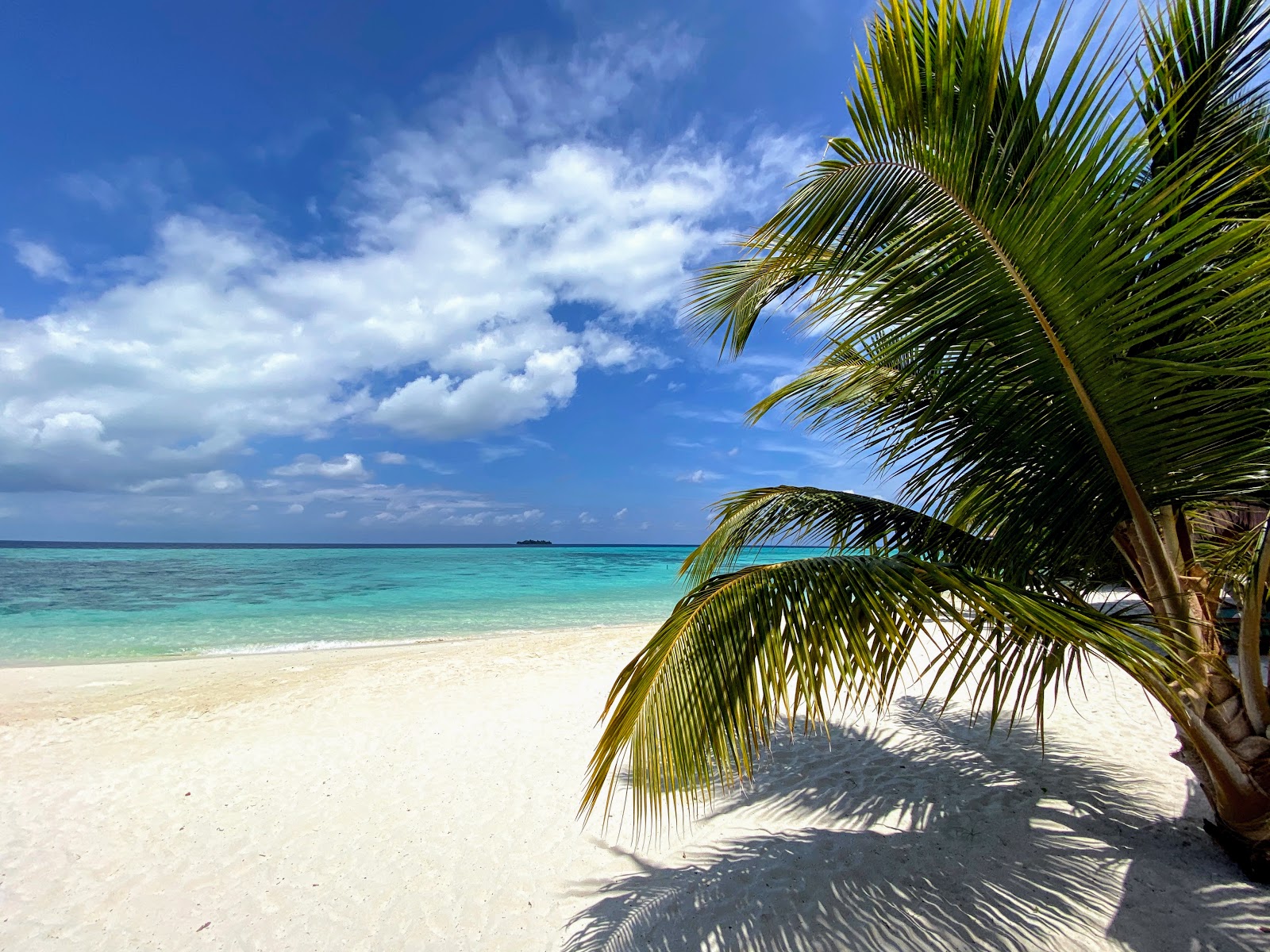 Maguhdhuvaa Resort Beach photo #4