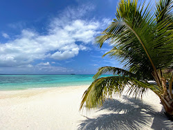 Maguhdhuvaa Resort Beach photo #4