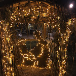 Photo n°1 de l'avis de MrVentur. fait le 05/01/2018 à 06:14 sur le  Cantina Cairoli | Enosteria à Castellarano