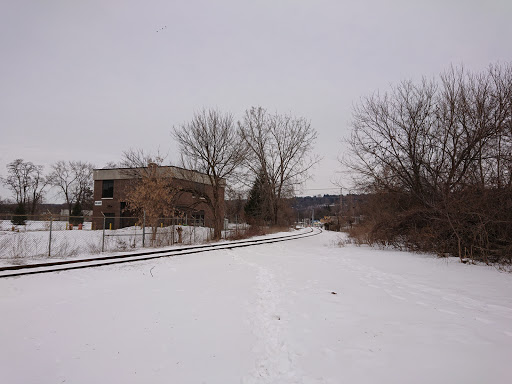 Supermarket «ALDI», reviews and photos, 505 3rd St, Ithaca, NY 14850, USA