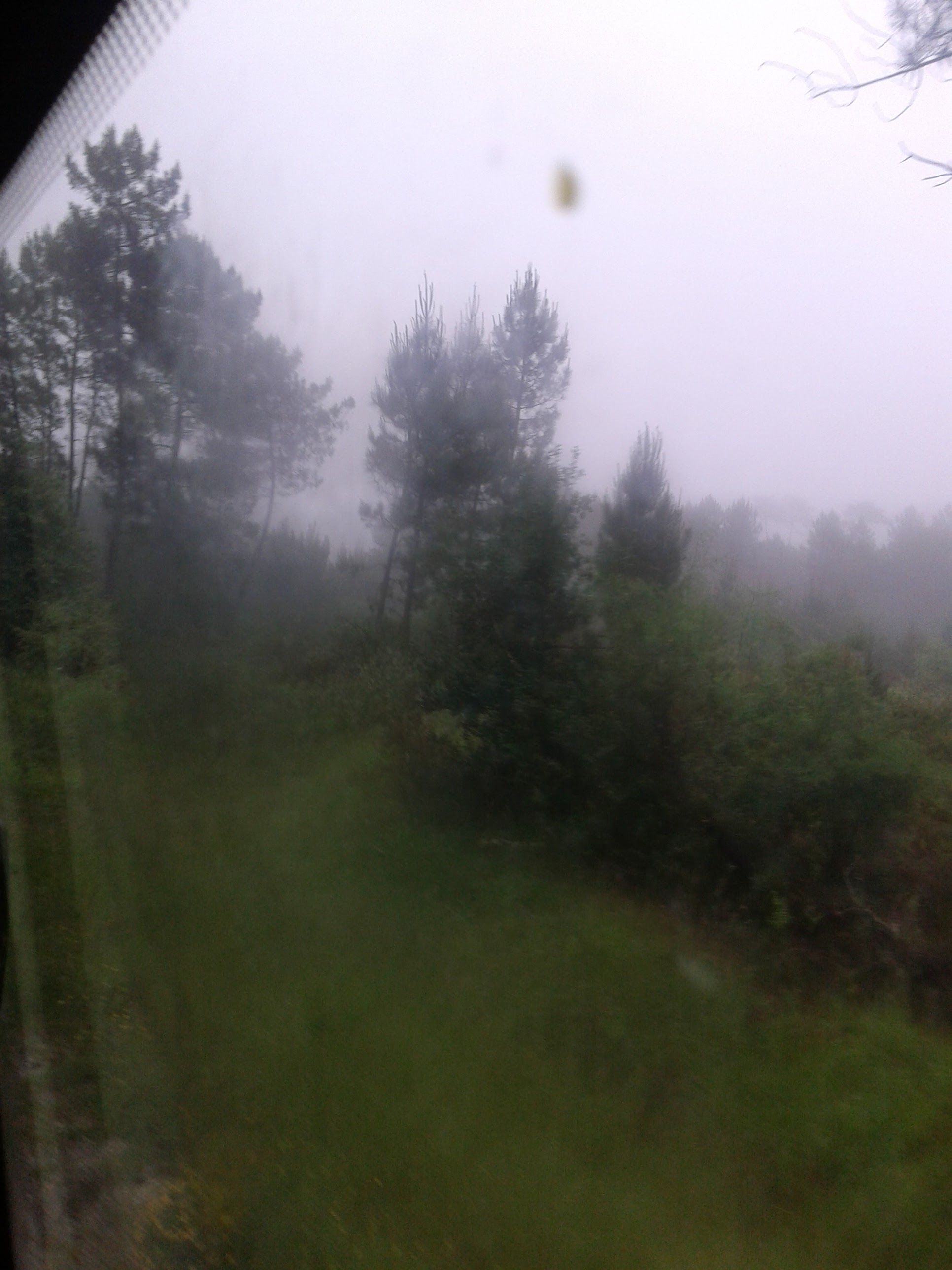 Photo n° 1 de l'avis de Loli.o fait le 21/05/2018 à 07:35