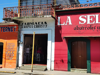 Farmacia Corpus Crhisty Coyolicaltzin 9, Barrio De Lexio, 71250 Villa De Zaachila, Oax. Mexico