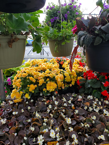 Hardware Store «Westlake Ace Hardware 026», reviews and photos, 5001 SW 29th St, Topeka, KS 66614, USA