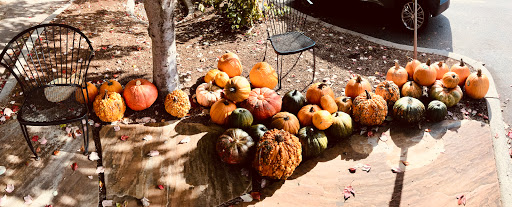 Grocery Store «Whole Foods Market», reviews and photos, 70 Merrimon Ave, Asheville, NC 28801, USA