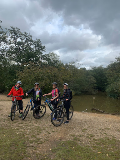 best mountain bike shop near me