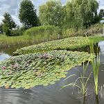 Photo n°2 de l'avis de Kim.e fait le 28/08/2021 à 13:13 sur le  Der Grieche am See à Calden