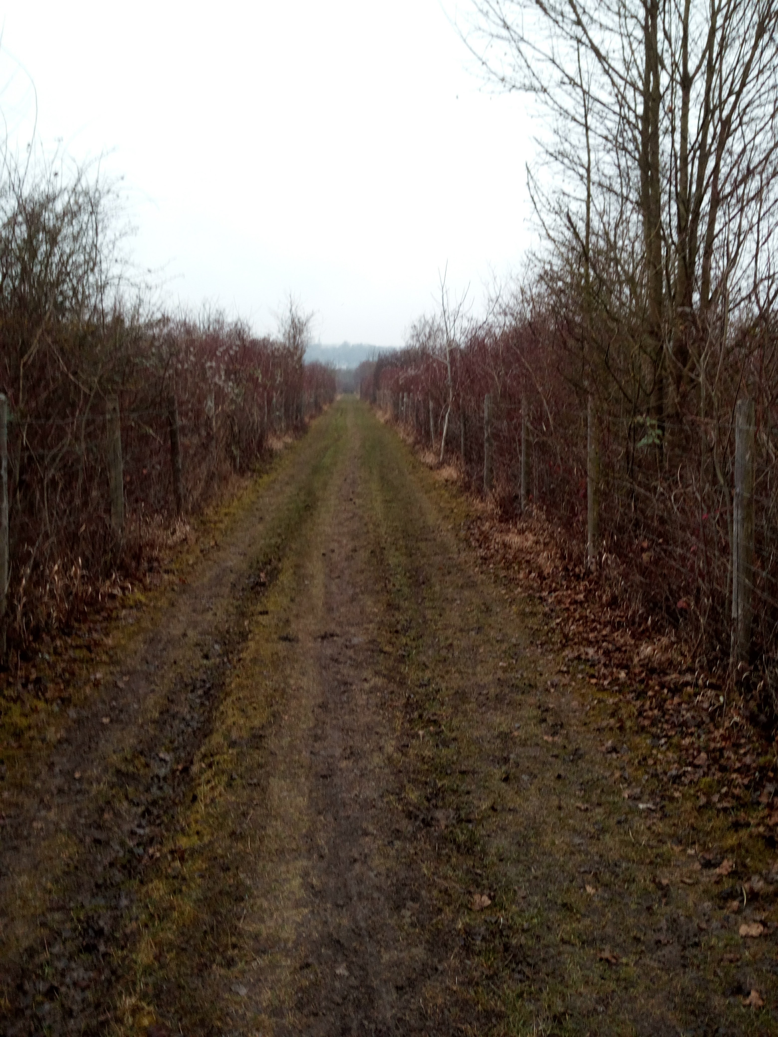 Photo n° 1 de l'avis de jean.i fait le 12/02/2017 à 12:20
