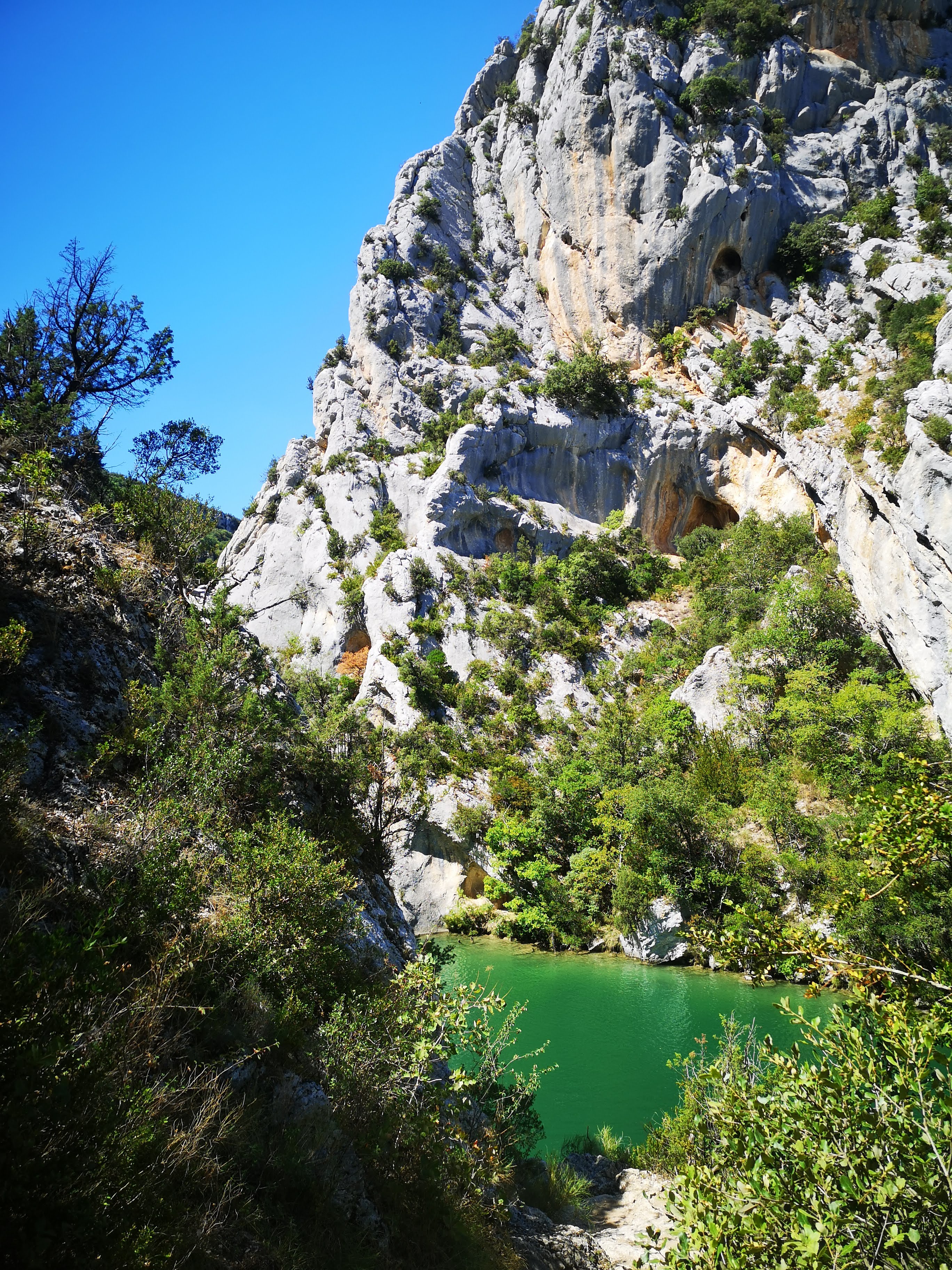 Photo n° 1 de l'avis de E. fait le 29/08/2022 à 16:59