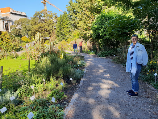 Jardin Botanique d'Anvers